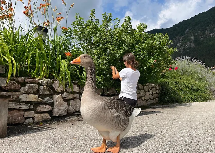 Agriturismo Girasole