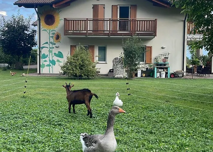 Agriturismo Girasole