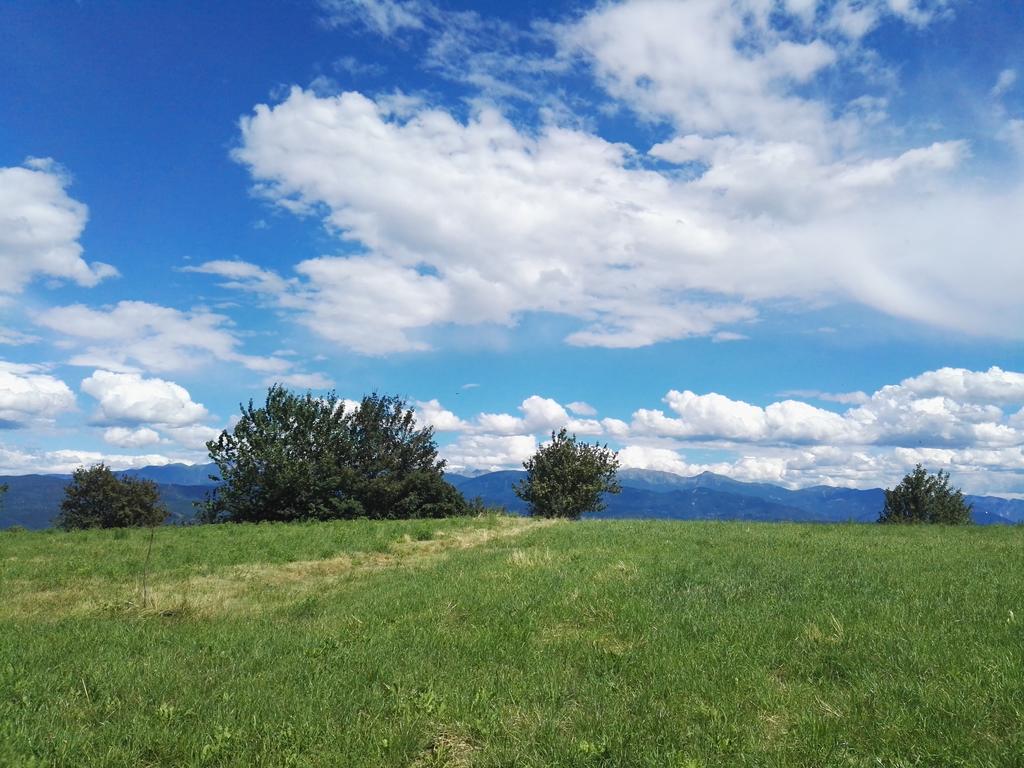 Alloggio per agriturismo Girasole *